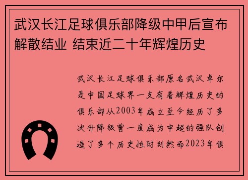 武汉长江足球俱乐部降级中甲后宣布解散结业 结束近二十年辉煌历史 武汉长江足球俱乐部降级中甲后宣布解散结业 结束近二十年辉煌历史