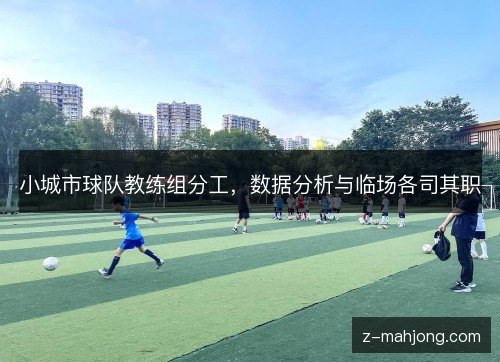 小城市球队教练组分工,数据分析与临场各司其职 小城市球队教练组分工,数据分析与临场各司其职